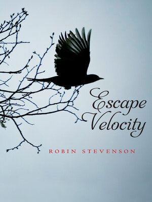 Escape Velocity - ebook